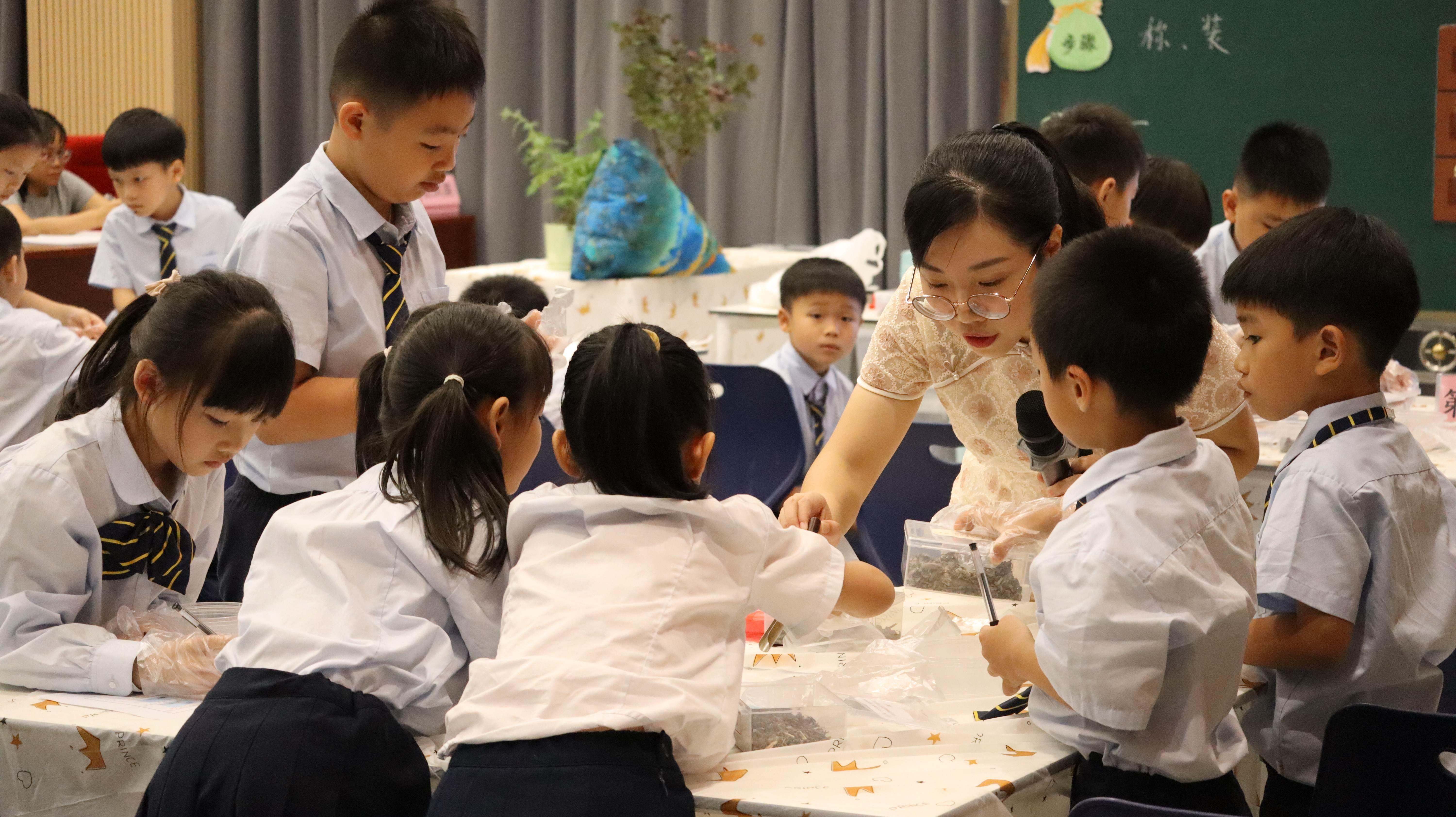 劳动教育周小学，培育劳动精神的摇篮
