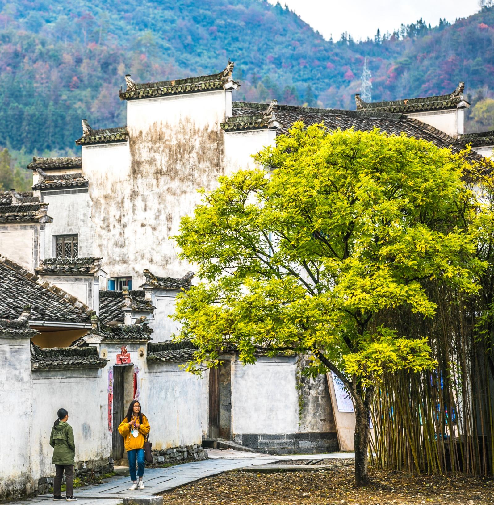 老外深度感受徽州之旅，探寻千年文化的独特魅力