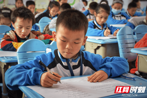 知识学小学生，探索知识的旅程与培养学习能力的重要性探索