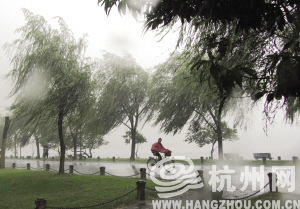 台风与杭州，风的轨迹穿越城市记忆