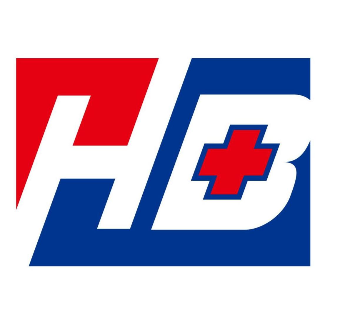 HB森马集团，探索成功之路及未来展望