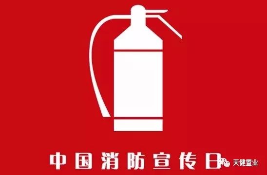 我国119消防项目深度探讨