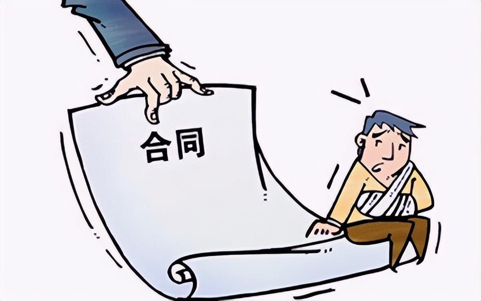 经济公司运营策略与管理实践探讨