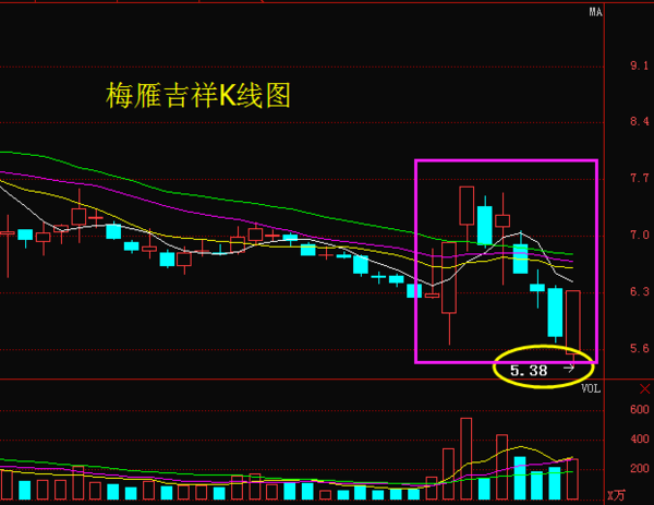 梅雁吉祥蓄势待发，共创美好未来，最新消息概览