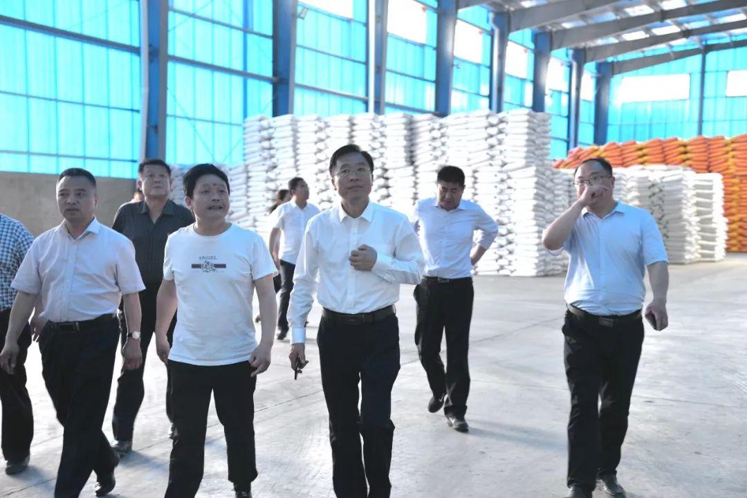三宁复合肥最新价格动态解析及趋势分析