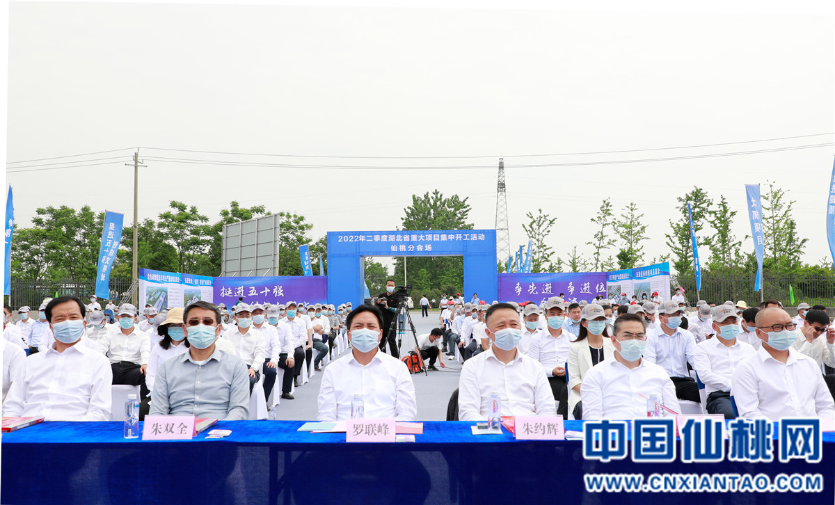 仙桃市最新新闻报道更新速递
