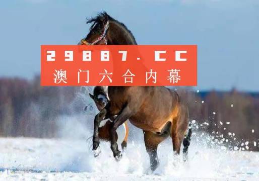 新澳门三肖中特,实地观察解释定义_DXC49.594家居版