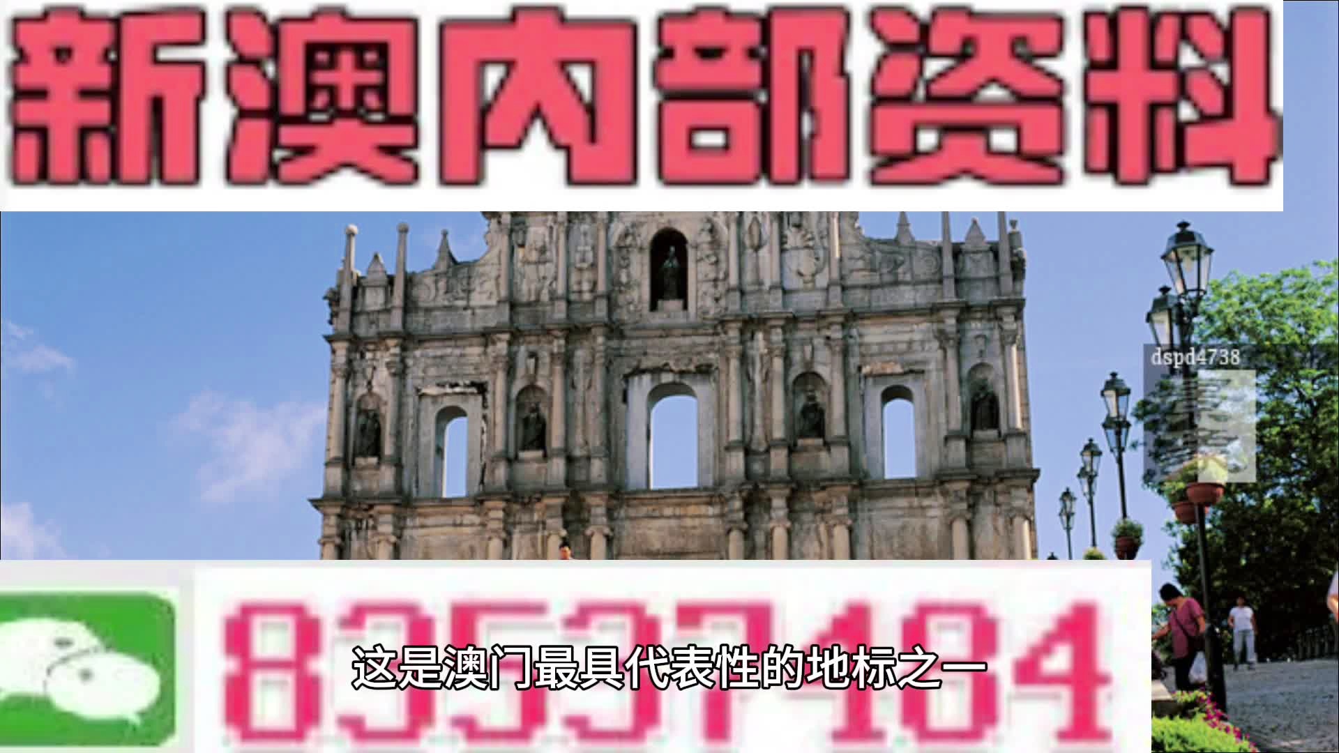 新澳精准资料免费提供208期,专家解说解释定义_ZUJ49.869味道版