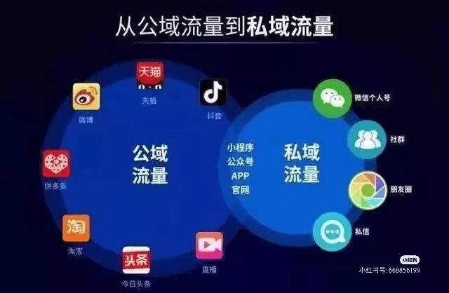 新澳最新版精准特,互动性策略设计_YPF49.301交互式版