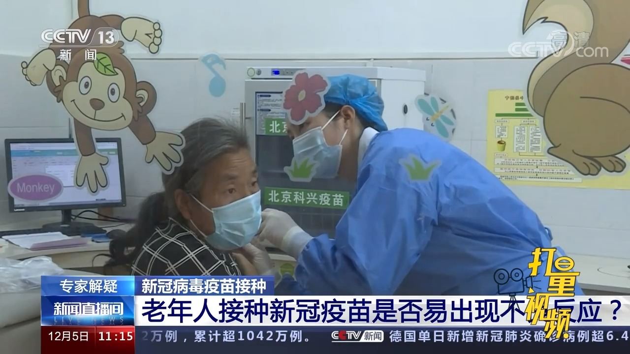 新澳六开奖结果,专家权威解答_IUT49.944桌面款