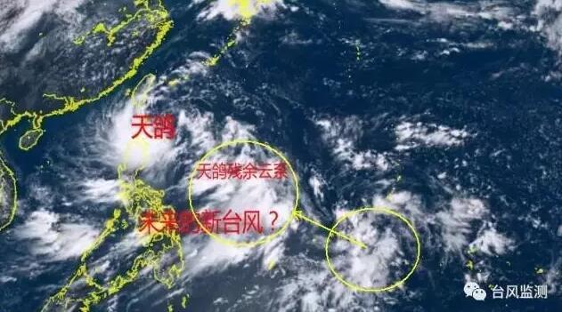 台风天鹰最新信息及动态分析与影响评估报告
