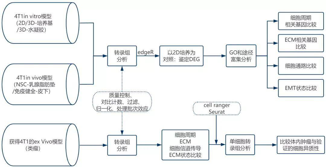 最新组织处理理论与实践的综合探讨解析