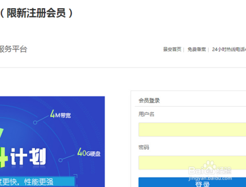 探索前沿科技力量与魅力，得得呐最新域名解析