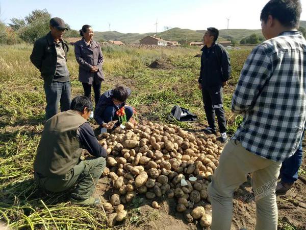 沽源最新新闻动态报道更新速递