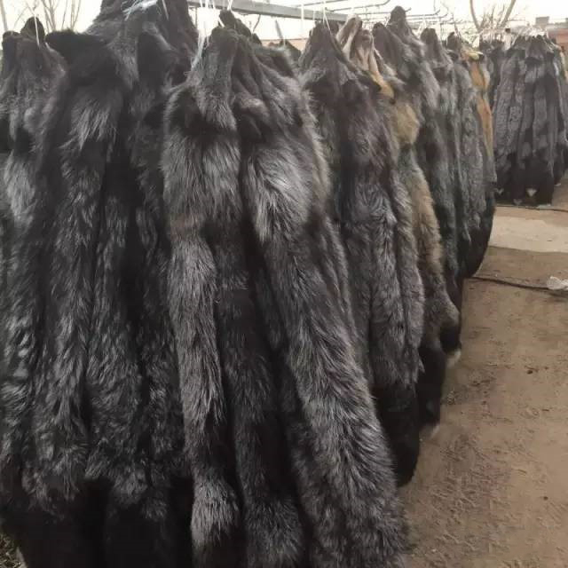 貉子毛最新价格及市场走势与影响因素分析概览