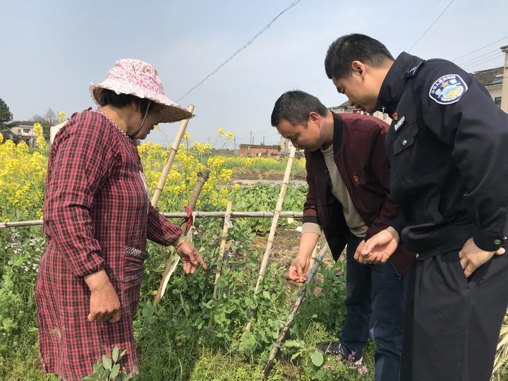 海盐最新资讯，发展脉络与前沿动态探索
