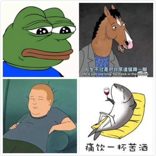 忧郁青蛙的新马甲，探索与启示之旅