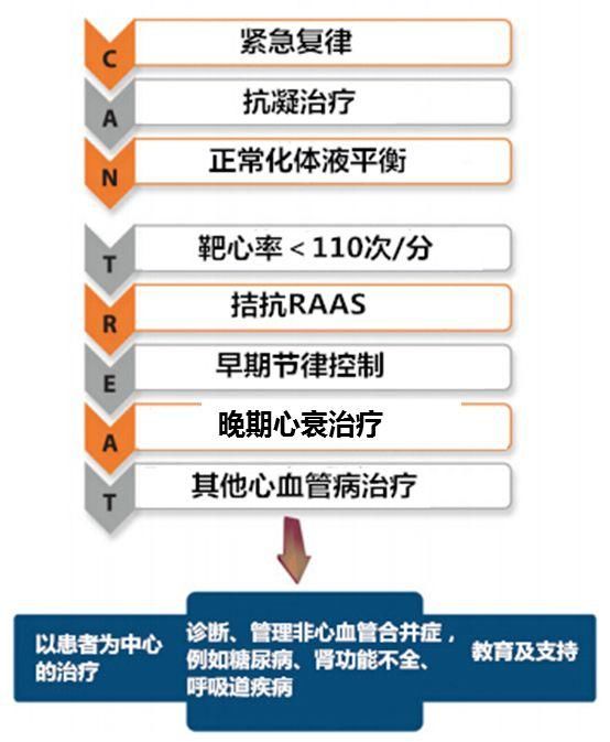 最新房颤指南解析，诊疗策略与进展的全面概览（2016版）