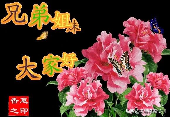最新清晨祝福短信，唤醒美好一天的温馨寄语