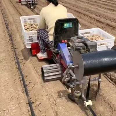 革新农业生产，最新种姜机器助力姜农高效种植革命
