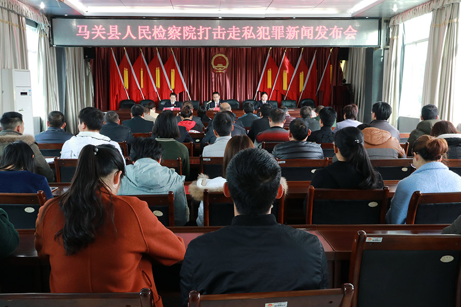 马关最新新闻动态更新