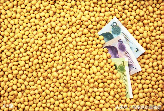 国产大豆最新价格及动态分析概述