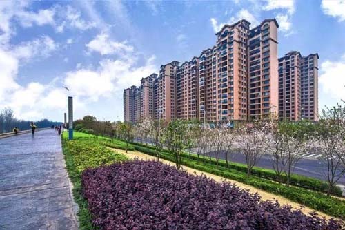 临湘最新房价动态及市场分析与趋势预测