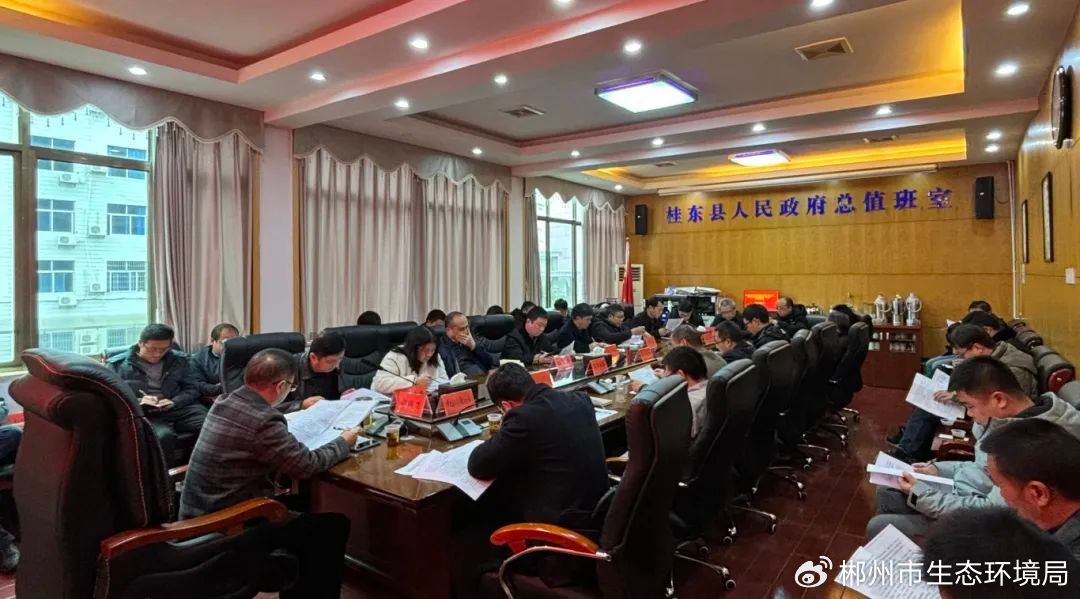 桂东最新新闻综述，发展与变化的交汇点