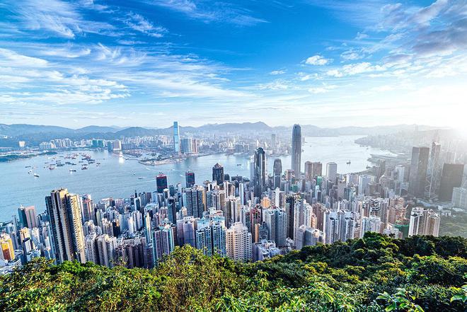 2024香港内部正版大全,动态解读分析_趣味版16.902