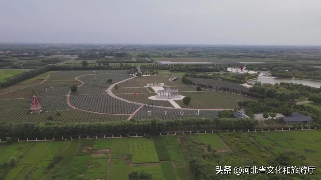 安国市最新城市规划，塑造未来城市的宏伟蓝图展望