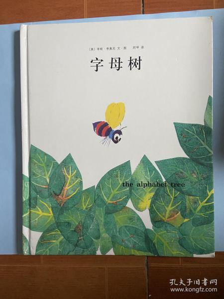 旧铺宁淮新城最新动态，深度解析最新消息