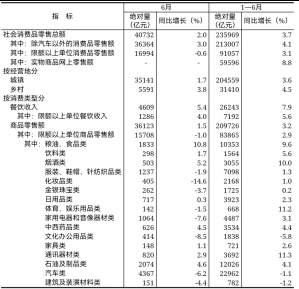 泰国Mfg日期最新格式解析及实际应用指南