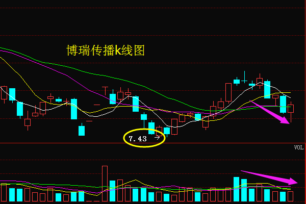 关于600880的最新消息全面解析与动态更新