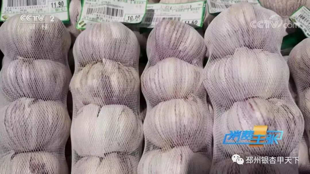 邳州大蒜最新价格动态分析与趋势预测