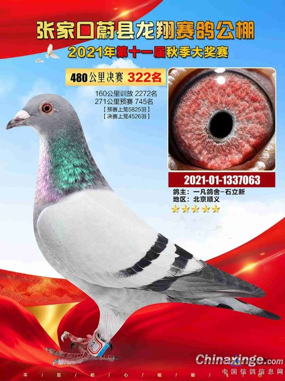 蔚县龙翔公棚最新动态更新