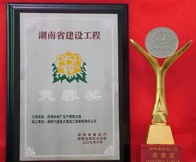 芙蓉奖揭晓，探索荣誉背后的故事与成就