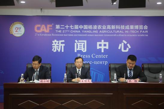 杨凌最新情况概览，最新动态与发展概述