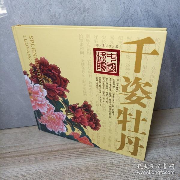 千叶秀最新风采，无限魅力的展现