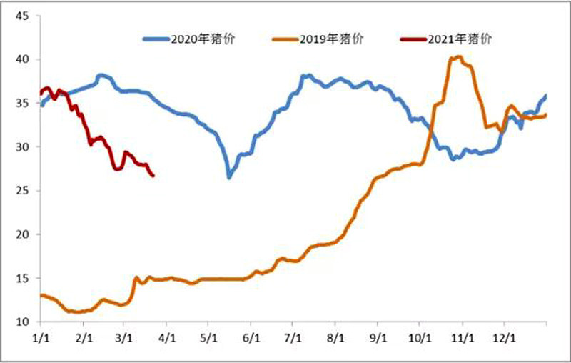 最新猪价走势分析与预测