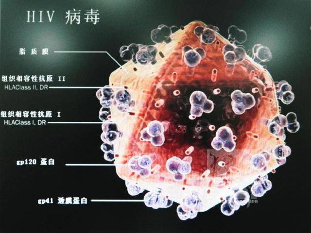 约旦面临最新病毒挑战，应对策略与措施的重要性
