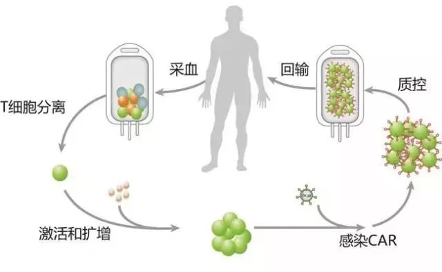 癌症治疗最新进展，突破与挑战并存的探索之路