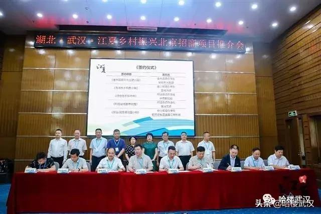 江夏郑店最新规划,江夏郑店最新规划，描绘未来城市新蓝图