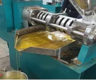 最新型榨油机的技术革新与产业影响分析