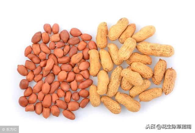 河南省花生米最新价格,河南省花生米最新价格动态分析