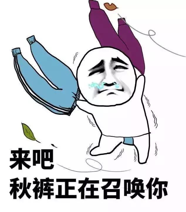 常德最新动态全面解读，最新消息一览无余