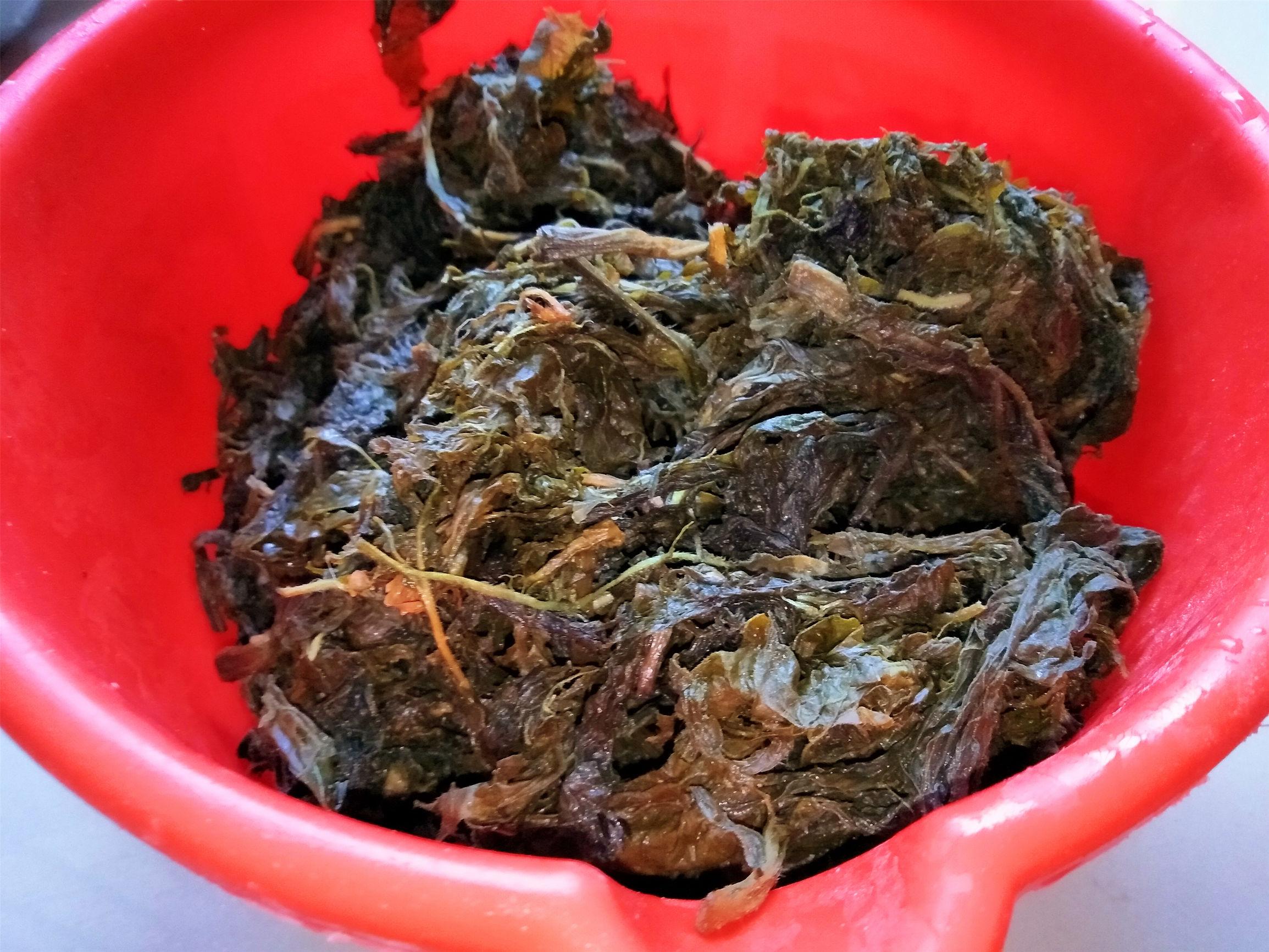 河南芝麻价格最新行情及分析报告