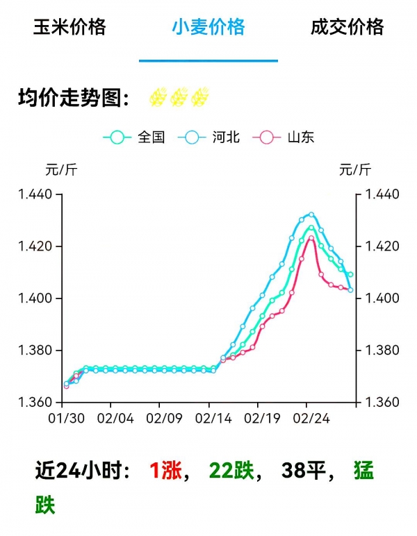 河北最新小麦价格动态分析与趋势预测