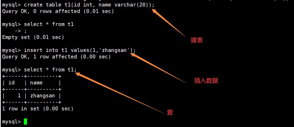 Sqlyog最新版，高效数据库管理工具的新特性与应用解析