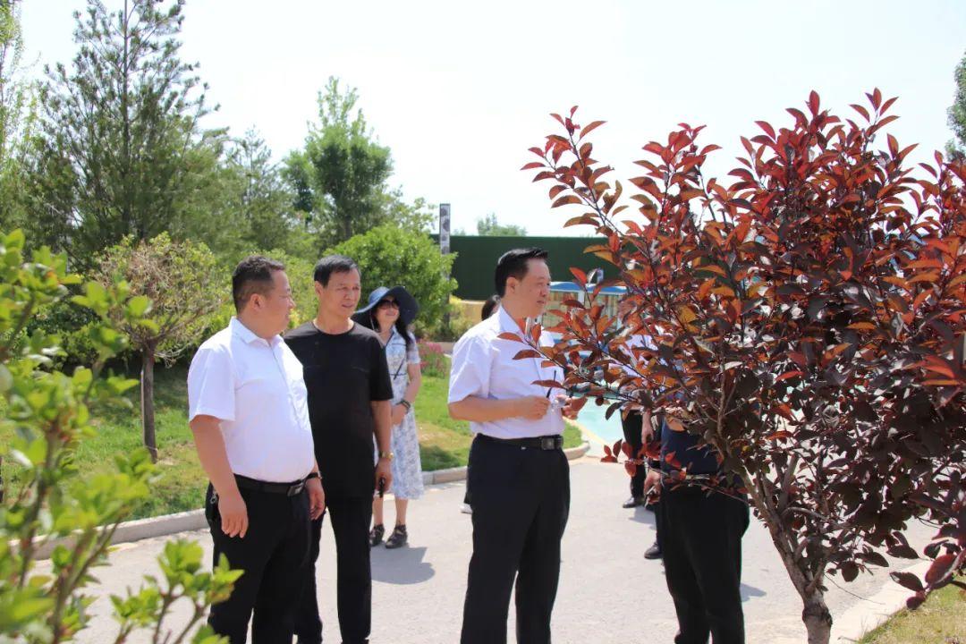 太谷未来最新规划，塑造新时代的繁荣都市展望