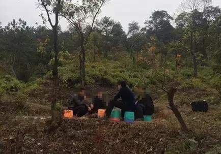 寻乌最新出租房，多元化选择满足租客需求